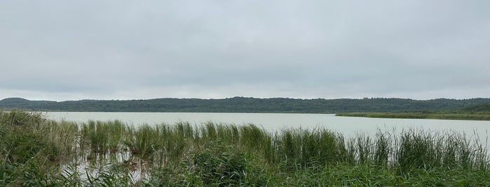 Schmachter See is one of Rügen.