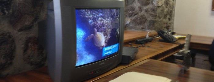 Paradise Television Network is one of Maui.