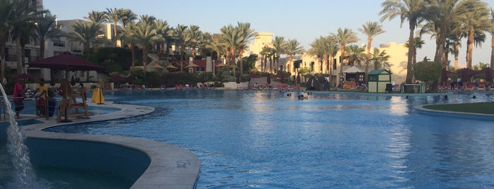 Grand Rotana Resort & Spa is one of Locais curtidos por Abu Lauren.