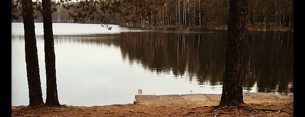 Озеро Комонь is one of สถานที่ที่ Olja ถูกใจ.