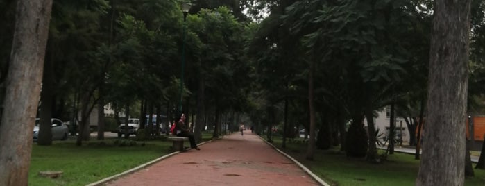 Parque San Agustin is one of Dog place.