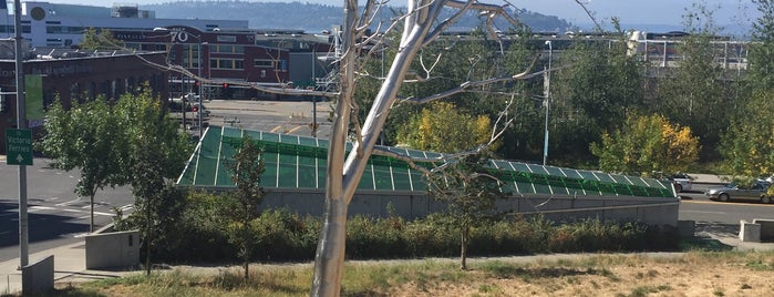 Olympic Sculpture Park is one of Rex's Saved Places.