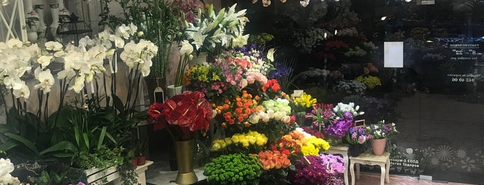 Магазин за цветя и букети "Лилия" is one of sofyailk.