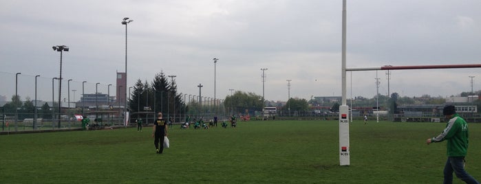 Rugby fields