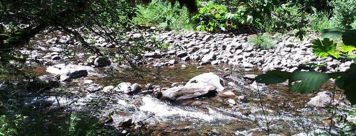 Eagle Fern Park is one of Locais curtidos por Star.