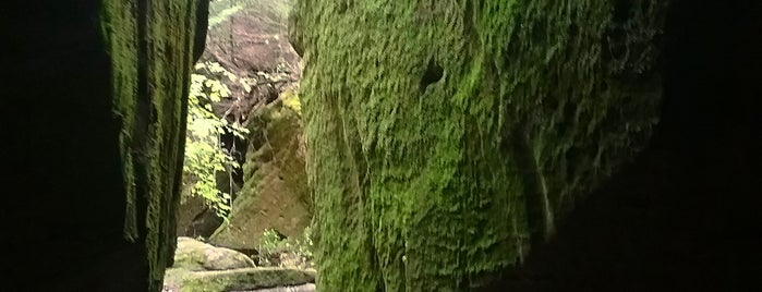 Dismals Canyon is one of The1JMAC : понравившиеся места.