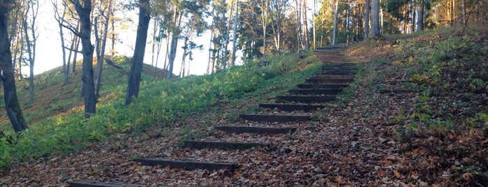 Pučkorių Piliakalnis is one of สถานที่ที่ FGhf ถูกใจ.