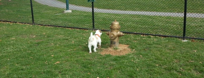 Hagerstown Dog Park is one of w.c..