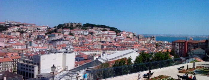 Miradouro de São Pedro de Alcântara is one of Lisboa.