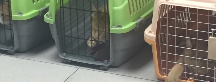 Animal Quarantine Station is one of Bangkok.
