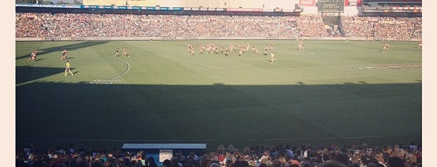 AAMI Stadium is one of AFL Venues.