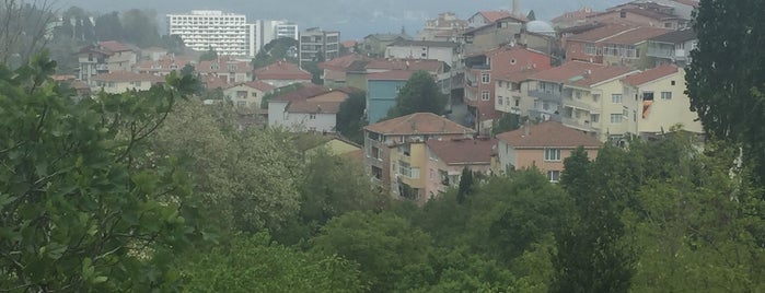 Tarabya Camii is one of İbadethane.