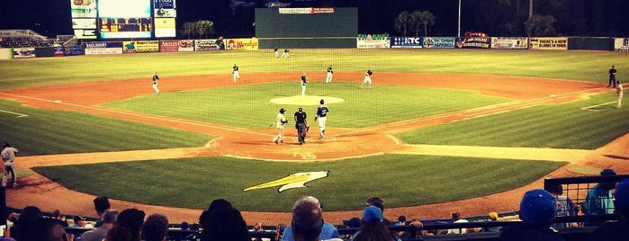 Myrtle Beach Pelicans Field is one of Minor League Parks - Watched A Game.