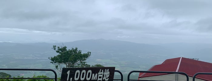 ニセコアンヌプリ1000m台地展望台 is one of Major Spot 7日本香港.