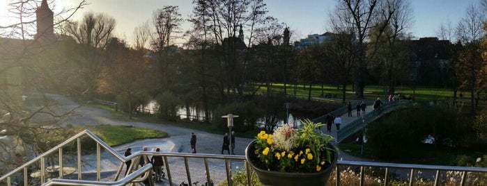 Spielplatz Erleninsel 1 (Wasser) is one of Steffenさんのお気に入りスポット.