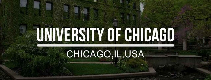 University of Chicago Quad is one of Top universities.