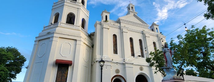 Basilica of the National Shrine of the Immaculate Conception is one of Basilicas in the Philippines.
