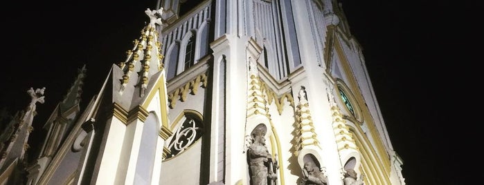 Basílica Nossa Senhora de Lourdes is one of favoritos.