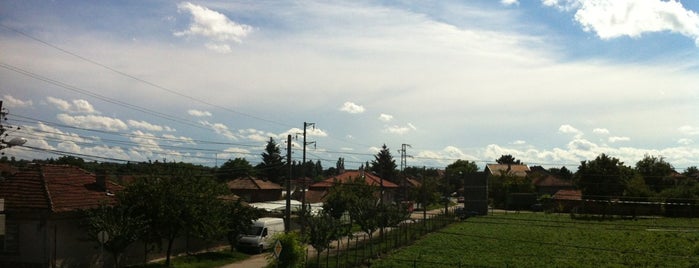 Сливо поле (Slivo pole) is one of Bulgarian Cities.