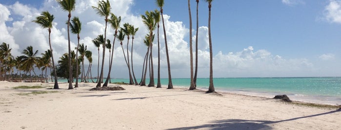 Playa Bavaro is one of Posti che sono piaciuti a Luciana.