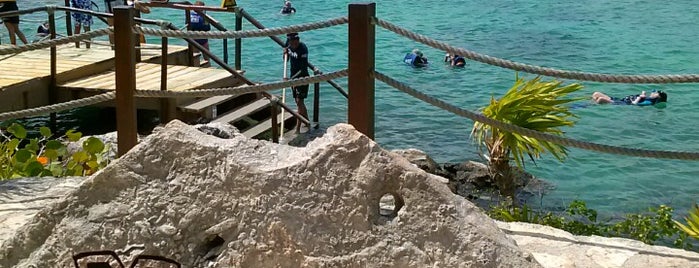 Xel-Há is one of Cancun.