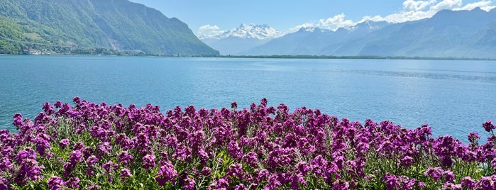 Montreux is one of EU - Attractions in Europe.