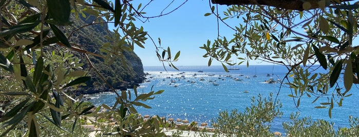 Ischia is one of Napoli.