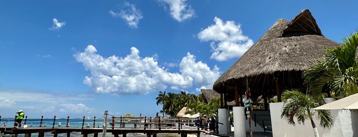 Stingray Beach is one of Cozumel.
