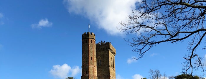 Leith Hill Tower is one of Surrey.