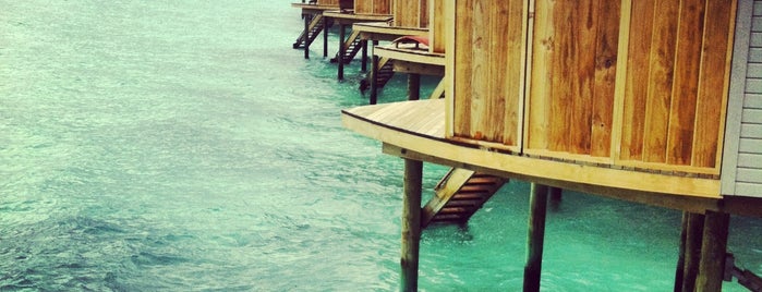 Centara Ras Fushi Resort & Spa is one of المالديف.