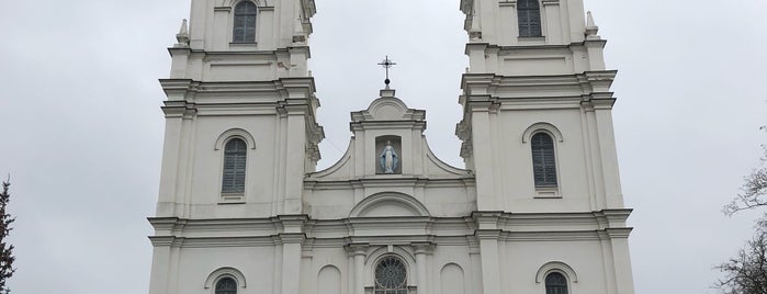 Daugavpils Vissv. Jaunavas Marijas Bezvainīgās Ieņemšanas Romas katoļu baznīca is one of D-pils is LoVe.