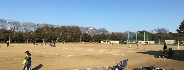淑徳大学更科総合グランド is one of baseball stadiums.