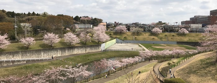 公津の杜公園 is one of Orte, die MK gefallen.