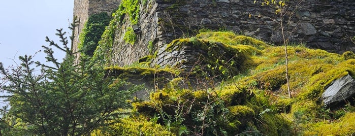 Château de Reinhardstein is one of Nearby.