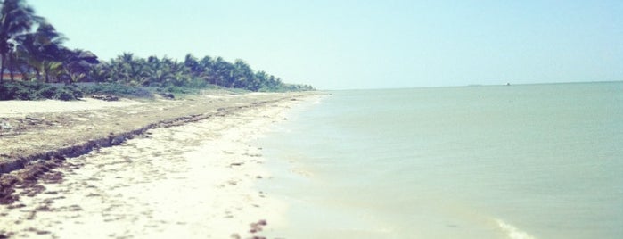 Playa De Chicxulub is one of สถานที่ที่ Karen ถูกใจ.