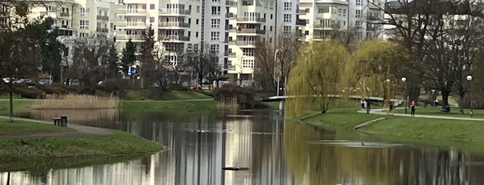 Park Kępa Potocka is one of besties in Warsaw.