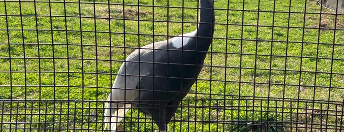 Akan International Crane Centre is one of 北海道2012.