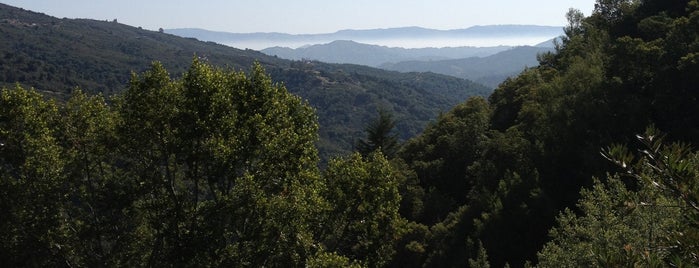 Uvas Canyon County Park is one of Favorite Hiking Spots.