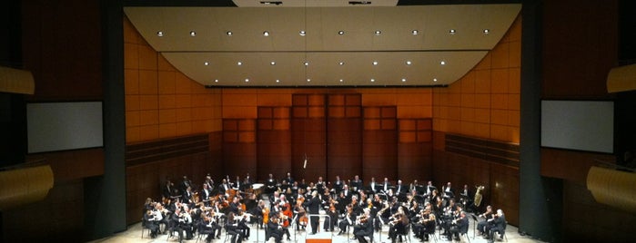 Grand Rapids Symphony is one of Lugares favoritos de Aundrea.