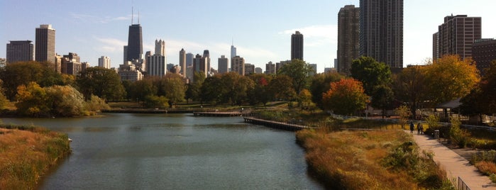 Lincoln Park is one of Chicago.