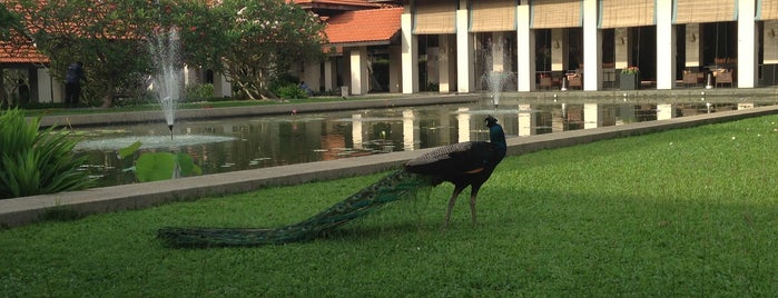 Sofitel Singapore Sentosa Resort & Spa is one of work.