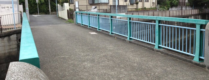 荻窪上橋 is one of 善福寺川に架かる橋.