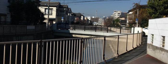 春日橋 is one of 善福寺川に架かる橋.