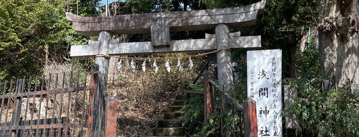 竹丘浅間神社（下里富士・三角山） is one of 富士塚.