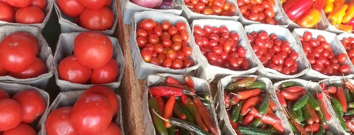 Jacksonville Farmer's Market is one of Tempat yang Disukai Matt.