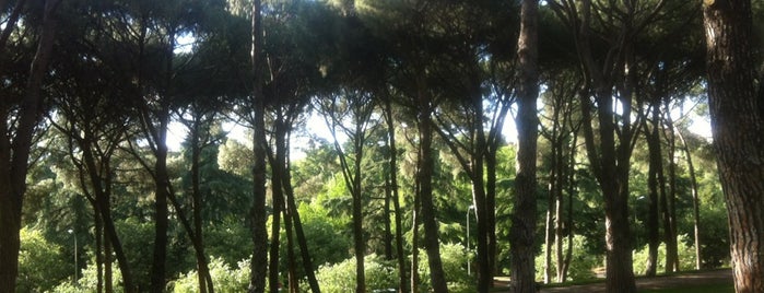 Parque del Oeste is one of Madrid Faves.