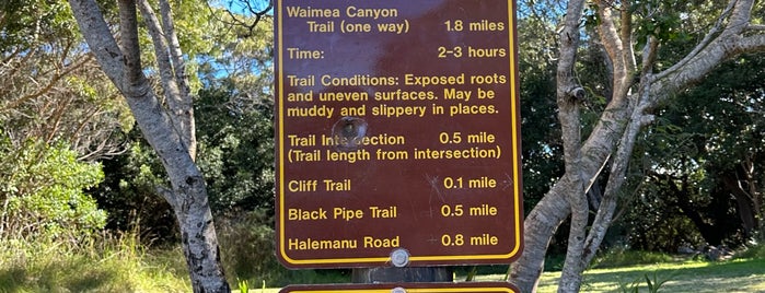 Waimea Canyon Trail To Waipo’o Falls is one of Hawaii WCC.