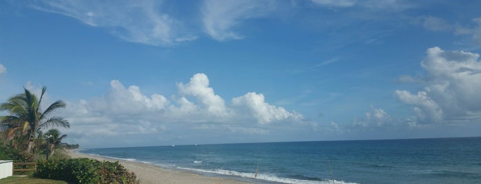 Juno Beach is one of Tempat yang Disukai T.