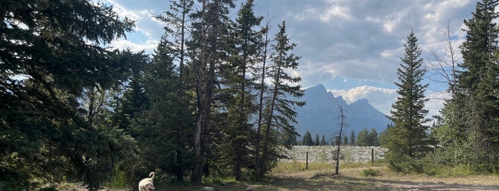 Quarry Lake Dog Park is one of Riding the Cougar-Canmore.