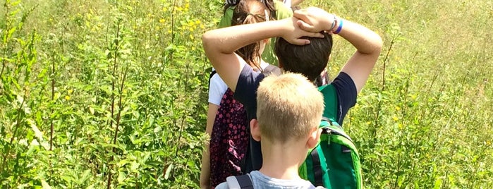 De Valier - Natuurpunt is one of Natuur en bos.